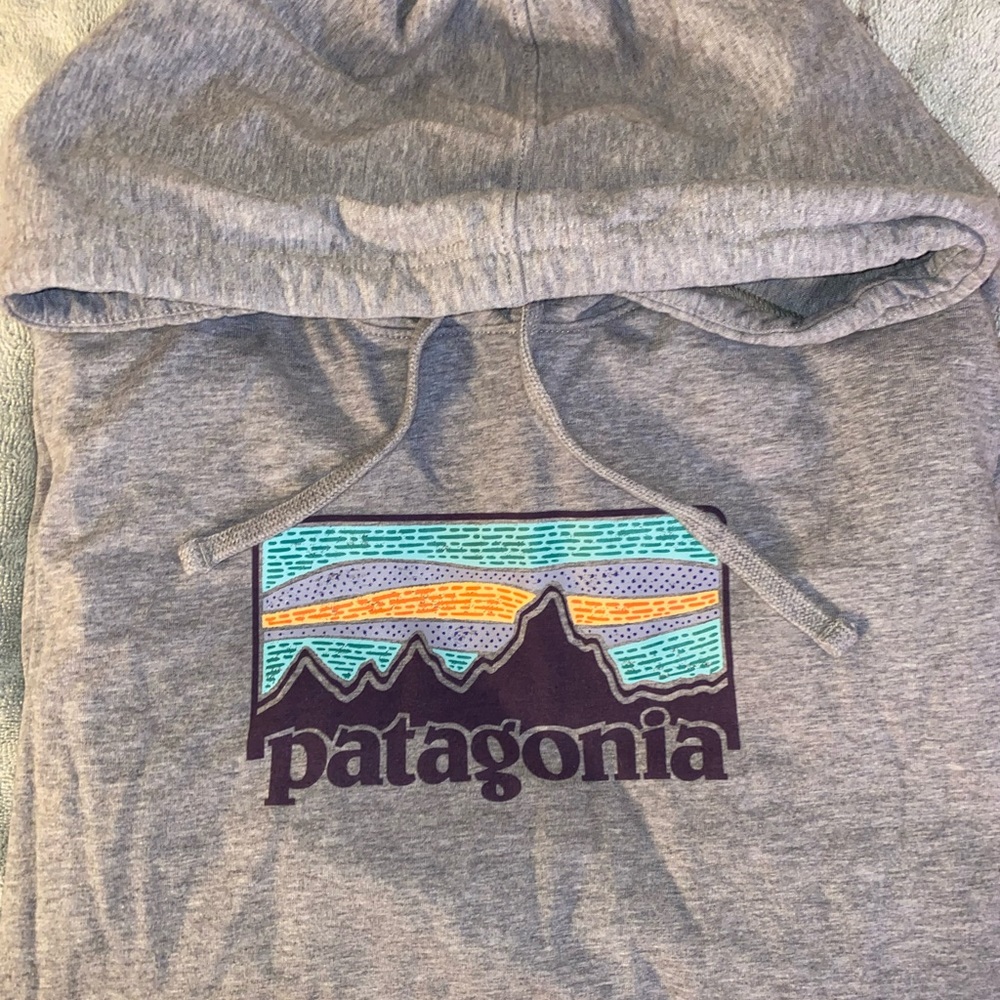 PATAGONIA HOODIE